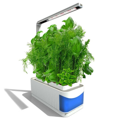Mini Jardin Potager D’intérieur Hydroponique avec Lampe Led