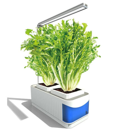 Mini Jardin Potager D’intérieur Hydroponique avec Lampe Led